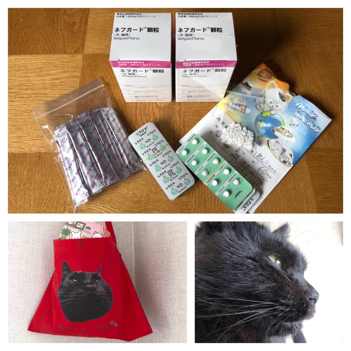 0ca9e3d2 ebd6 48e6 80c0 4b750b04c048 1631931186548