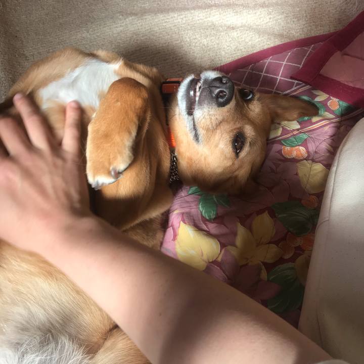 0ca9f719 2835 4c03 8a91 80b3d13418a2 1558765599653