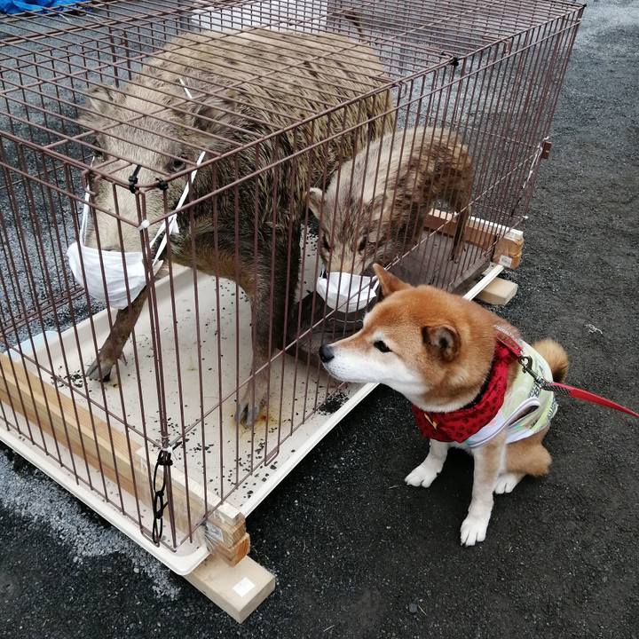 0caa6a5b ac36 4e65 b6ef e60071caa523 1651401631803