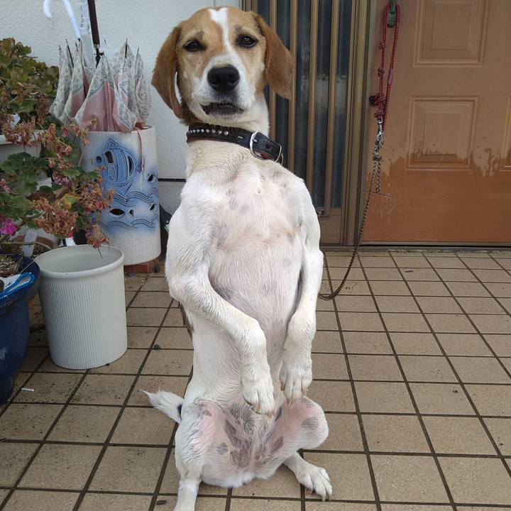 0caa7bae 8651 45c5 8cd9 6b0370f3cefe 1659080890207