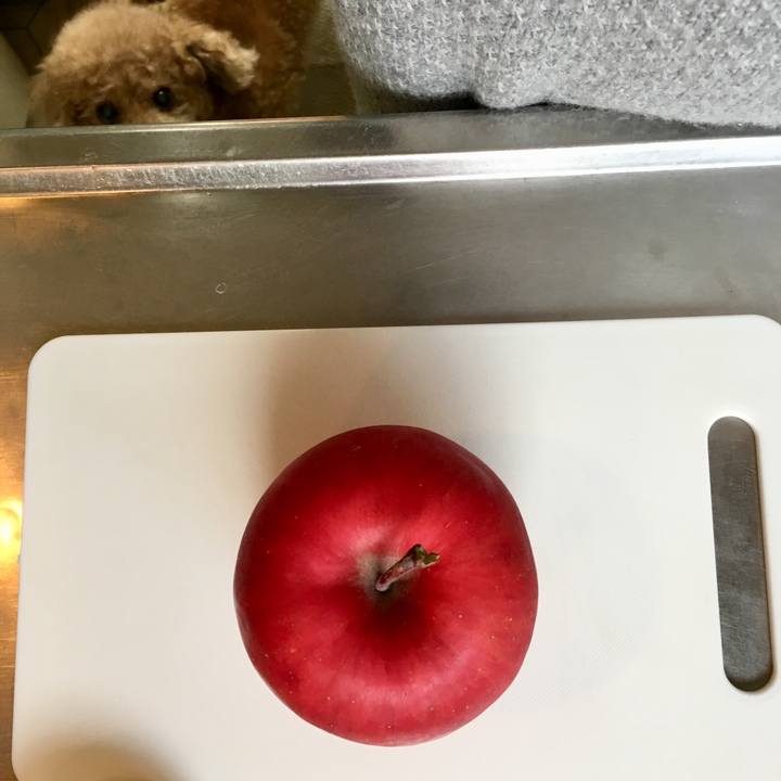 0caaa432 cd26 435e b4ad 3c775098e707 1509949318471