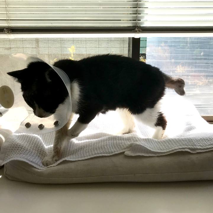 0caaa67a 7983 41c8 afd7 6ade4af6d914 1583240903516