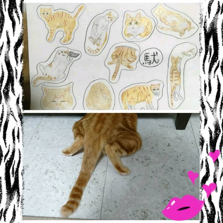 0caabca0 4dd7 4200 baac 3614c99fe8d1 1543016720558