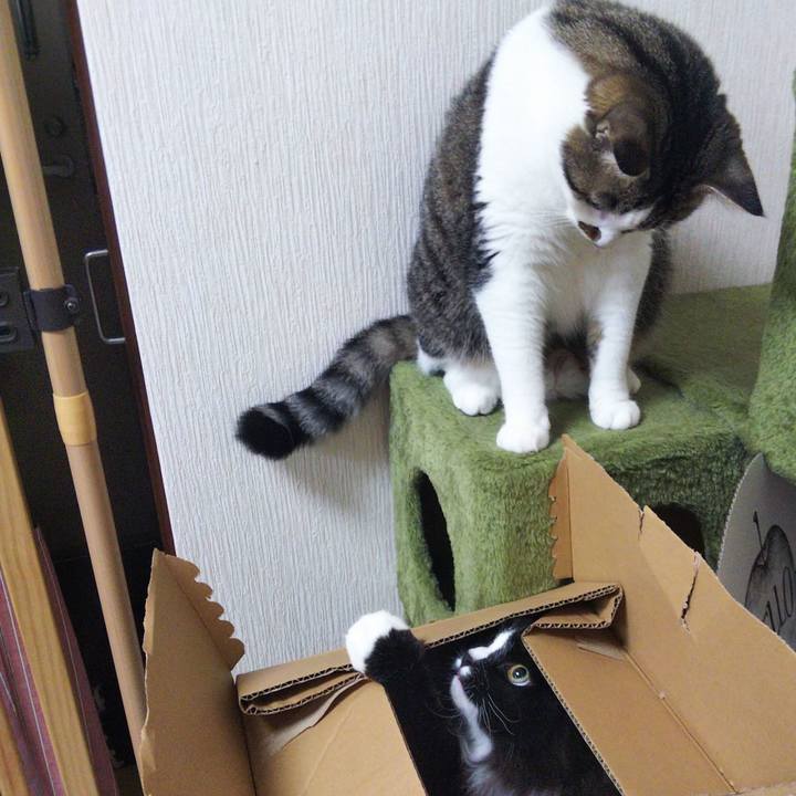 0caac83c 5145 403a 86f9 be7f51ee1c6f 1656292328724