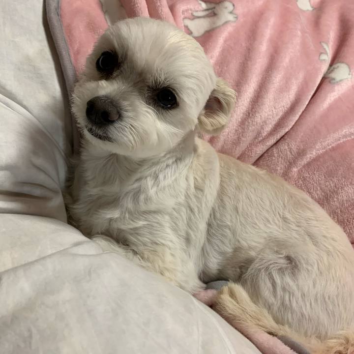 0caae537 ff33 4c39 91de 6efbb6c1ce40 1574073528833