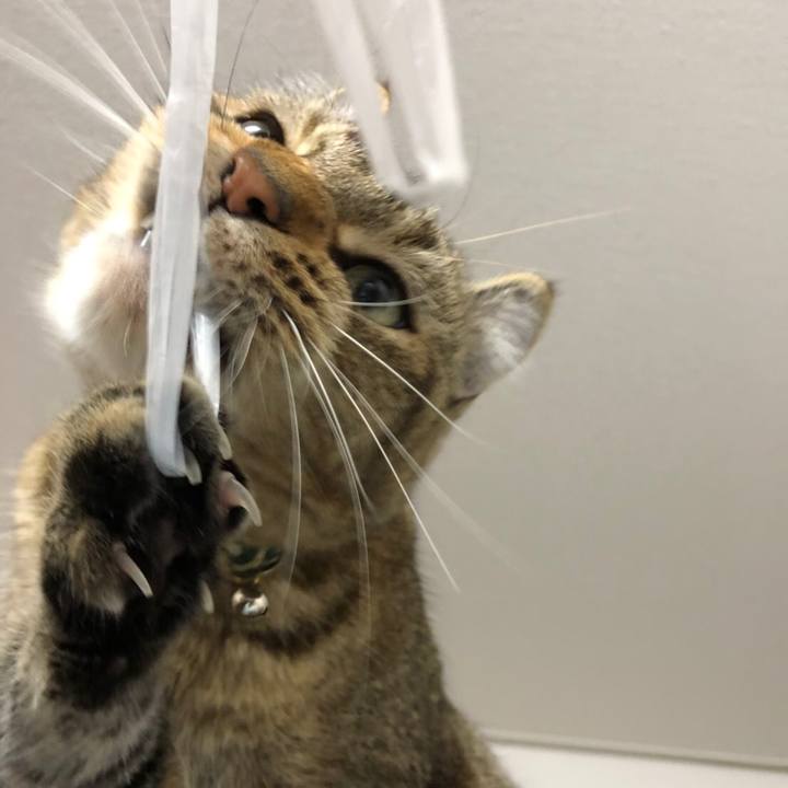 0caaf195 0562 4443 9bcc 73a5915dbad2 1592031232836