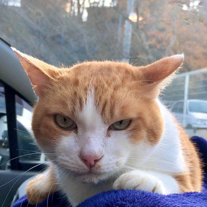 0caaf4a3 23d2 4350 8514 1e37e6875476 1575269194205