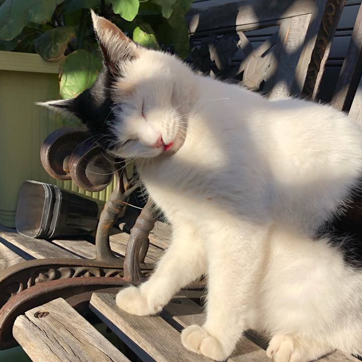 0cab037b bfff 40cf 8cb5 c2e001f6f1c9 1603582298597