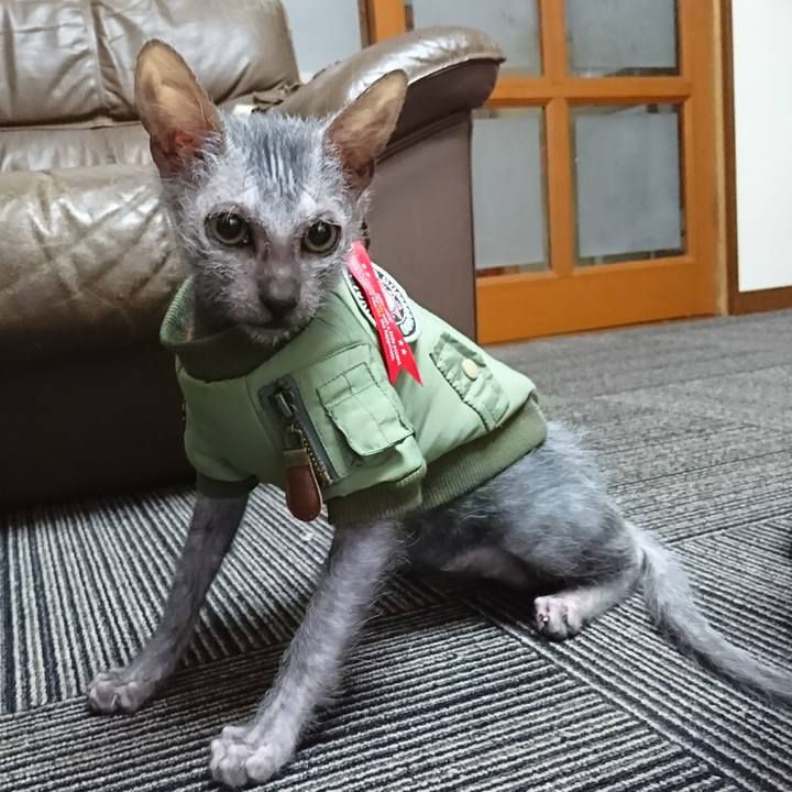 0cab5df7 8fa8 4400 92e6 2af951910af1 1516159639856