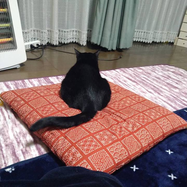 0cab6a74 fe34 4e0b b281 9ba385eba0b0 1668840181516