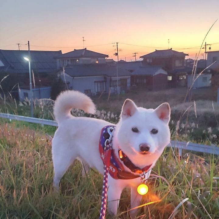 0cab6cdf 675f 4f83 8627 844ddb7d3439 1668243273167