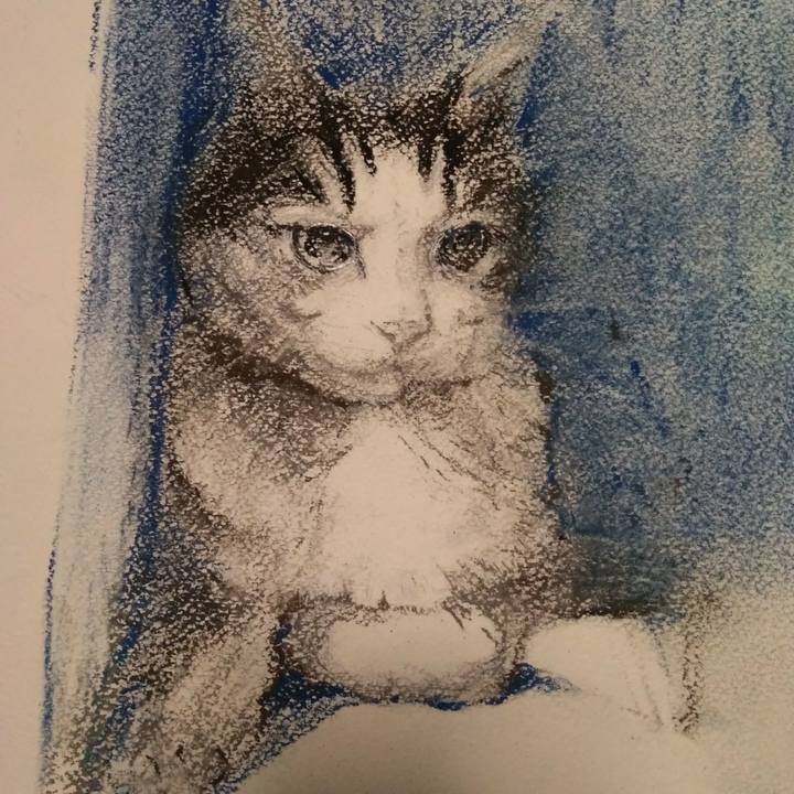 0cab9ae9 2d22 4fbe a1c4 36b3f7903358 1545469630528