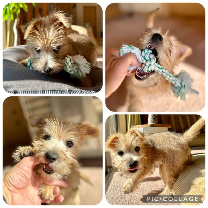 0cab9d36 c6f4 4585 b6de 39289d2ee70d 1701637385454