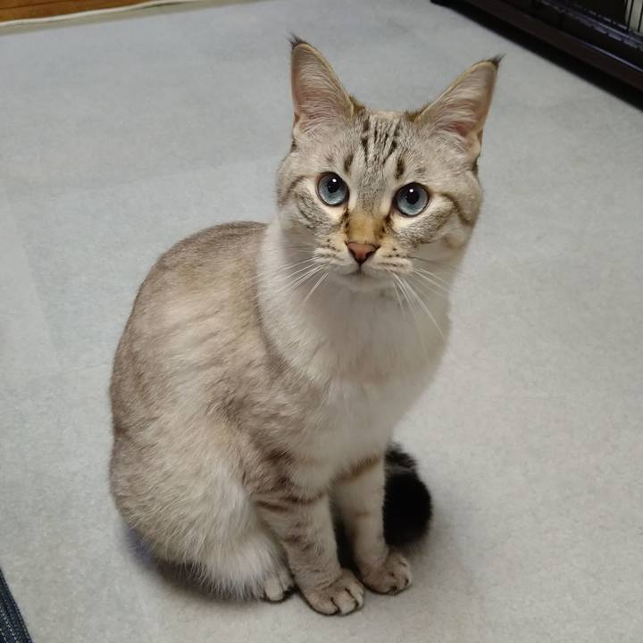 0caba191 7882 4245 a722 8c53559916af 1663671735115