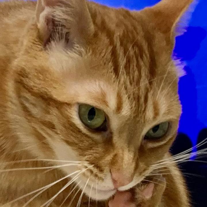 0caba9bd a99a 454d b357 b39c2fd0d550 1618020117974