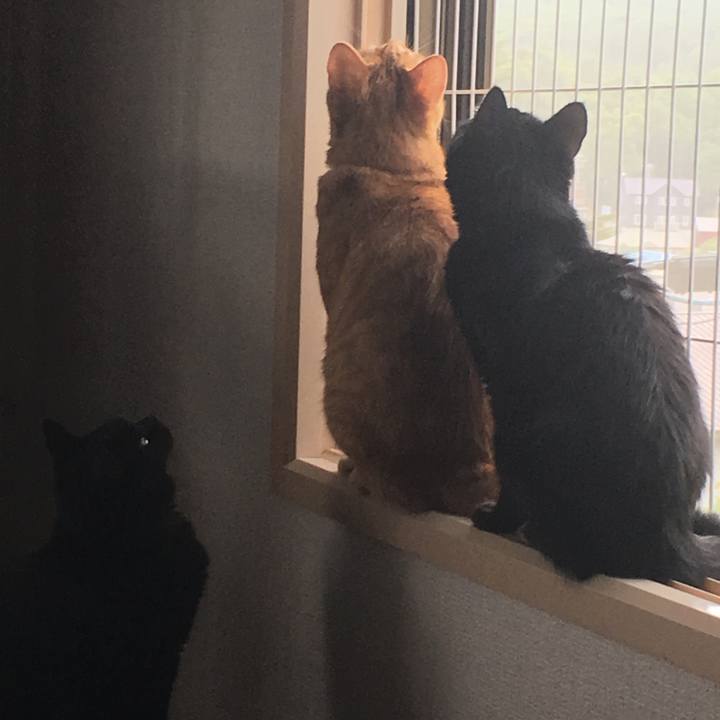 0cabb1e0 72a6 4d27 8963 7e5903499960 1533285725947