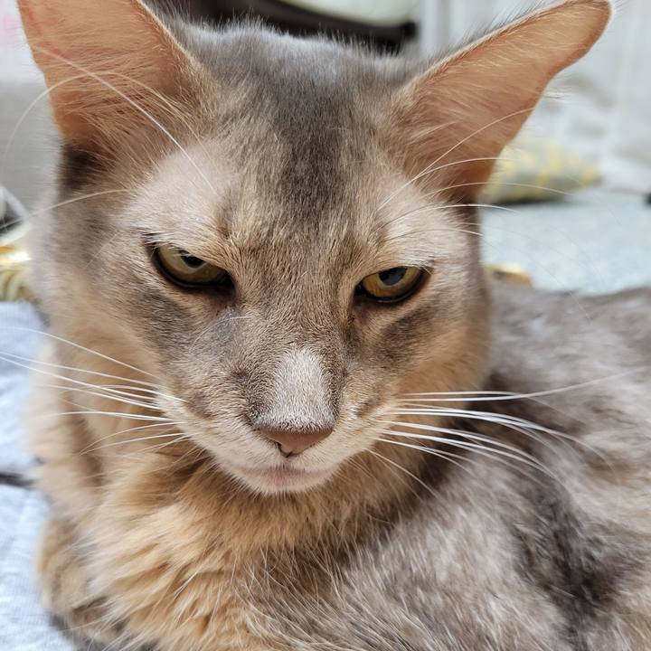 0cabddd5 3ea9 4d85 95b3 b8b98fe0a160 1634392926295