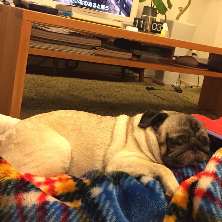 0cabfe61 2013 43b4 8227 b036baa7c7df 1542669958769