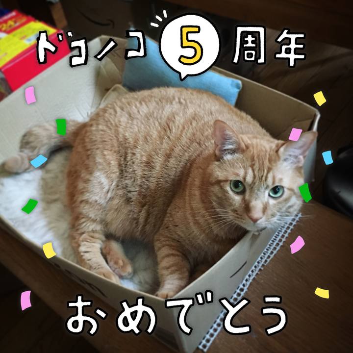 0cac0319 9e05 49bc 87a1 1a8a99383ee9 1623198501767