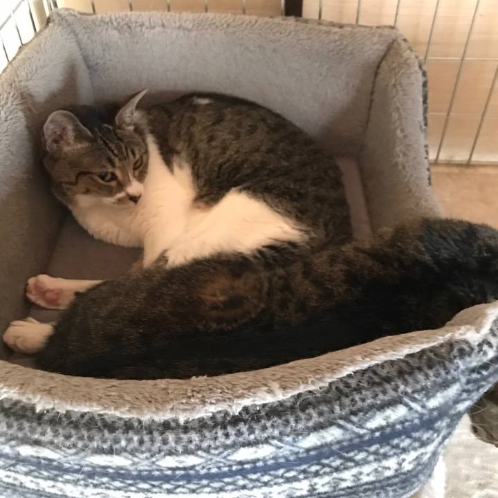 0cac09fd 6747 46e0 9e09 0af766746941 1530667983051