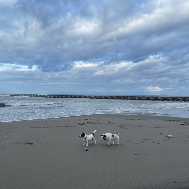 0cac16ce 8e0d 4758 965d e9b789063aae 1699399593622