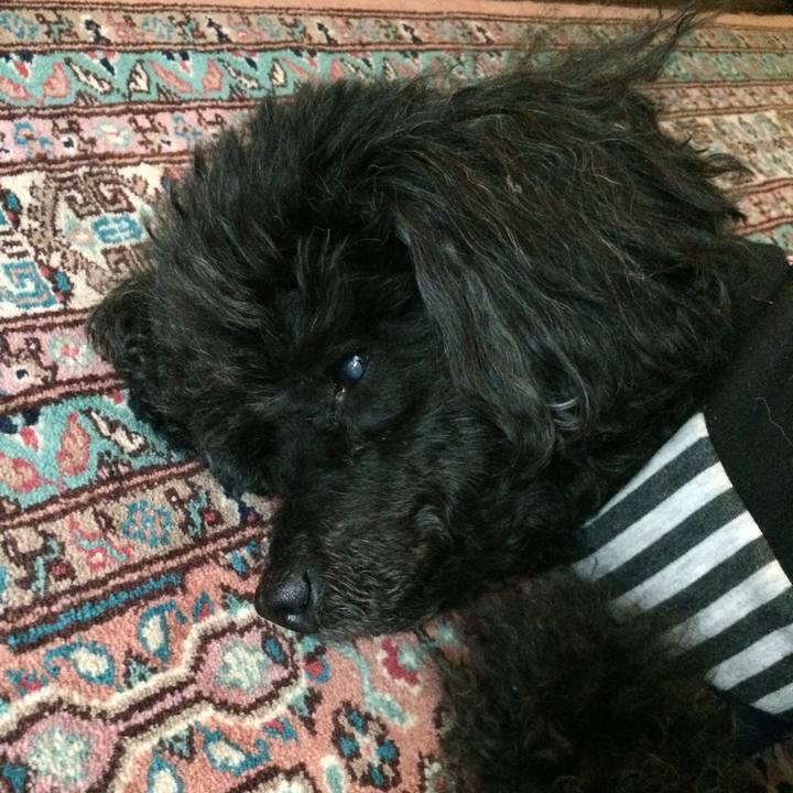 0cac2fc0 865b 43bb bf74 42558681de85 1610498125415