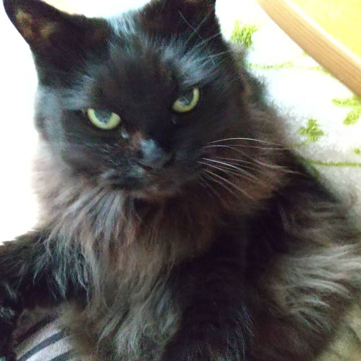 0cac5aa1 e3e3 4f07 b896 8c1319484607 1606950753766