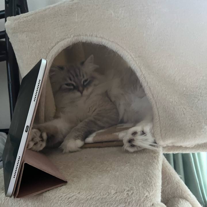 0cac893d 6816 4733 823f 2fbdad50c4dd 1703284664965