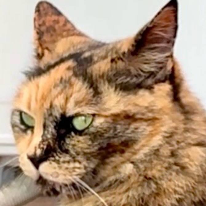 0cac9127 713e 4e33 872f 034b3d2853cc 1750298827844