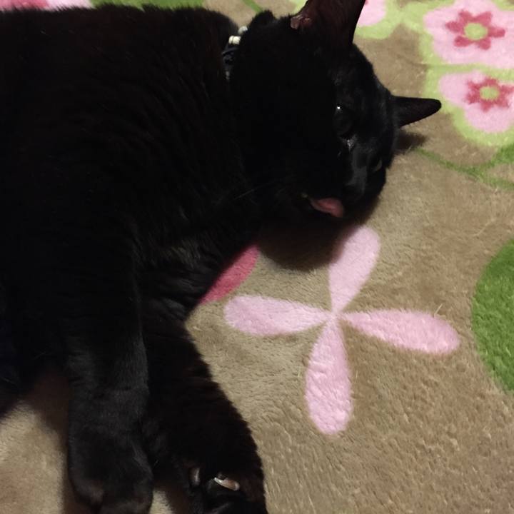 0caca23c b56b 4fa9 a75a e109dd94d09a 1516273396004