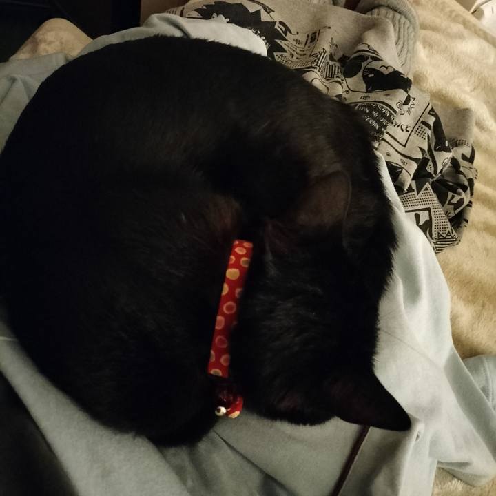 0cacbf25 88d6 4549 936f 74059d190573 1639309666820