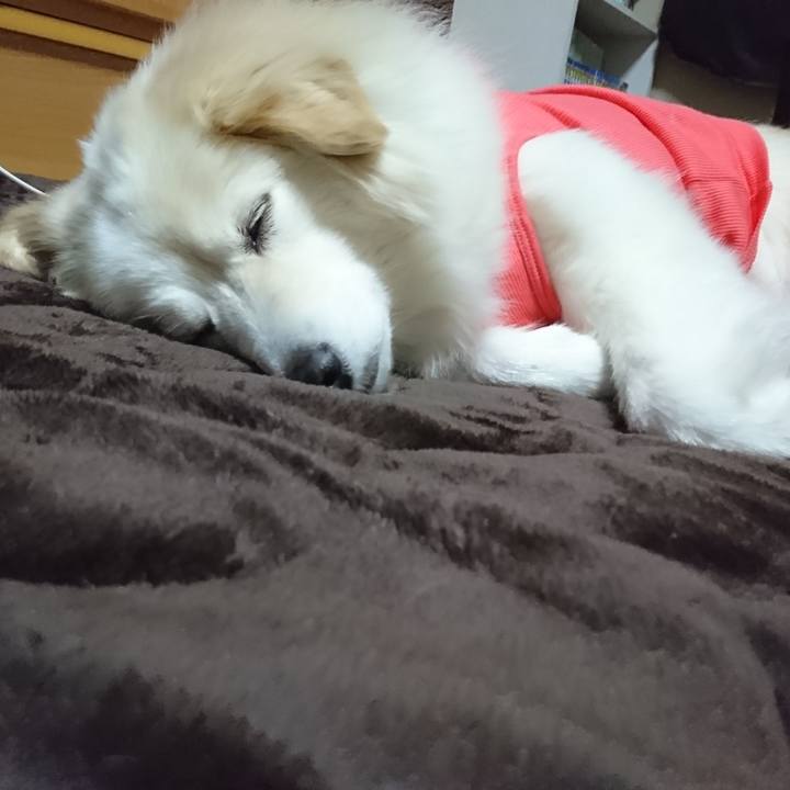 0cacd03a e2bd 40b3 9874 dda82cf2f826 1520744016191