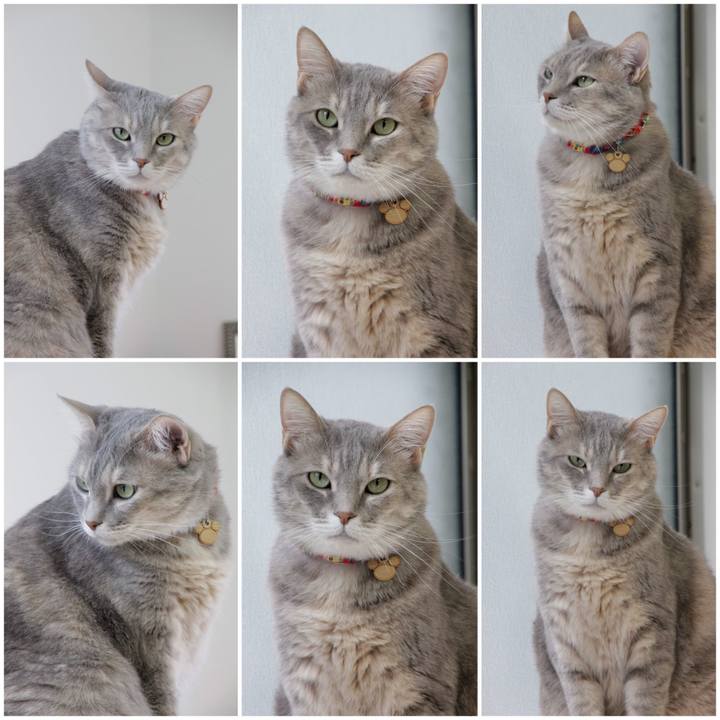 0cacd6cf 8599 4adf bb8c 4994b566fa34 1652410094582