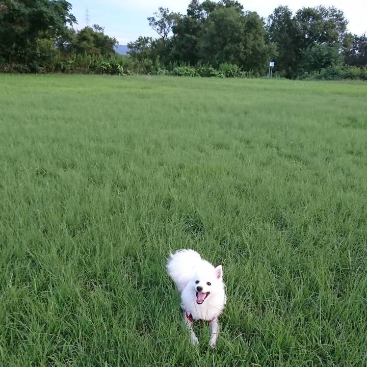 0cace268 989d 45dd 95a0 e82a3fb0b1d0 1536485747850