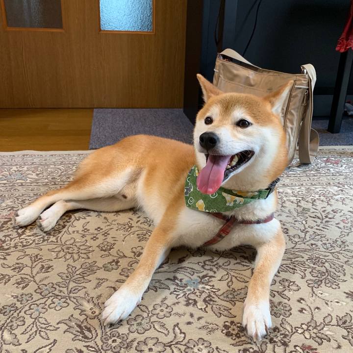 0cace36f 250a 46d3 8a28 ba73c76ce2b2 1564140891123