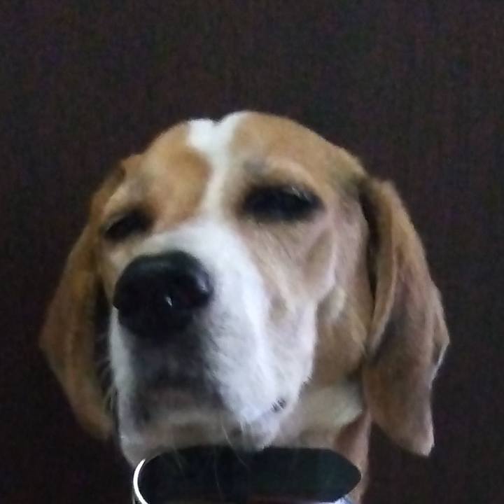 0cad0f0e 0cd2 42de 9007 69b00d22d0a1 1697805690165