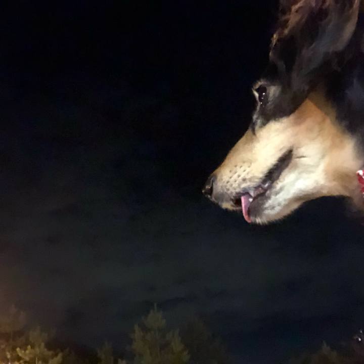 0cad6c3e dc01 4604 88dd a2275a0c7885 1597238347197