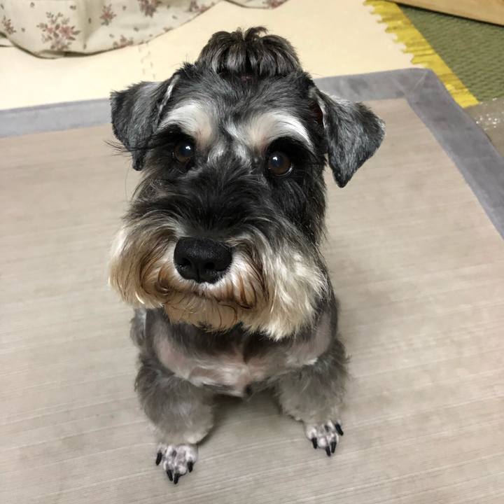 0cad8024 a5e7 45d1 9388 f76d276044e2 1601031740123