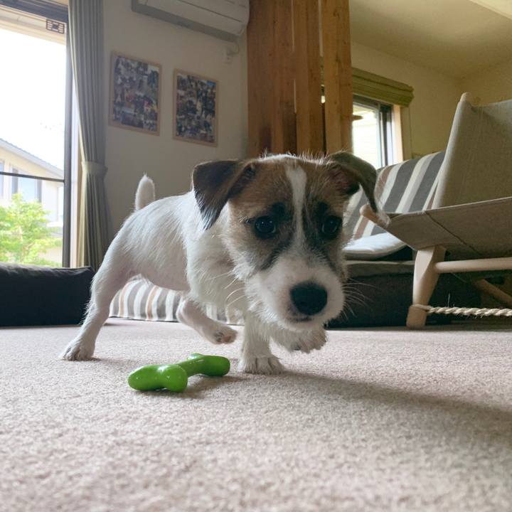 0cada991 f767 4f2a ad45 210340e91643 1560729769994