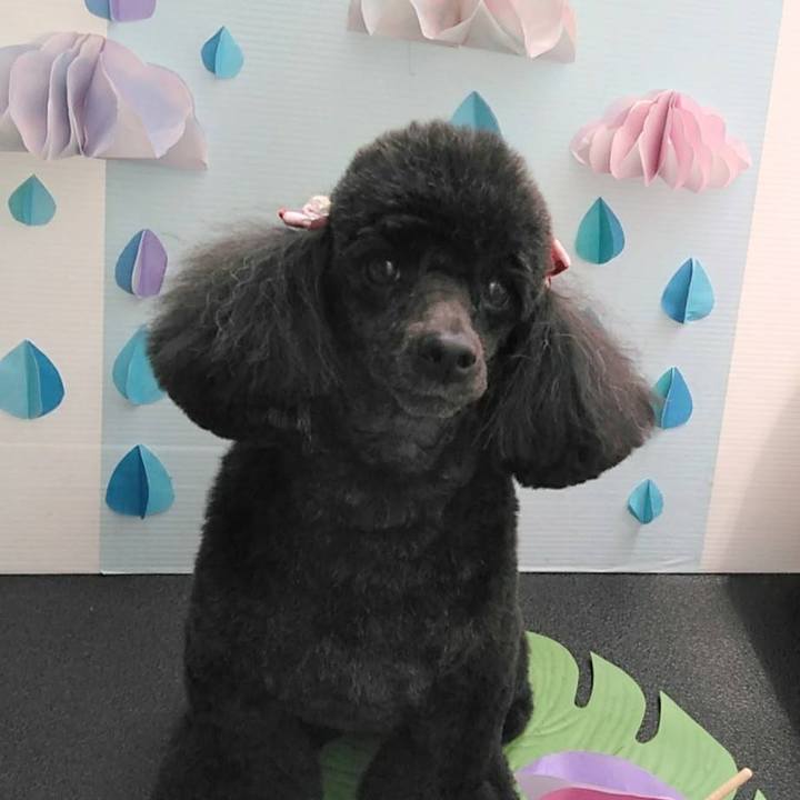 0cadc009 1638 46b2 a50c 294ce04084a9 1624938656365