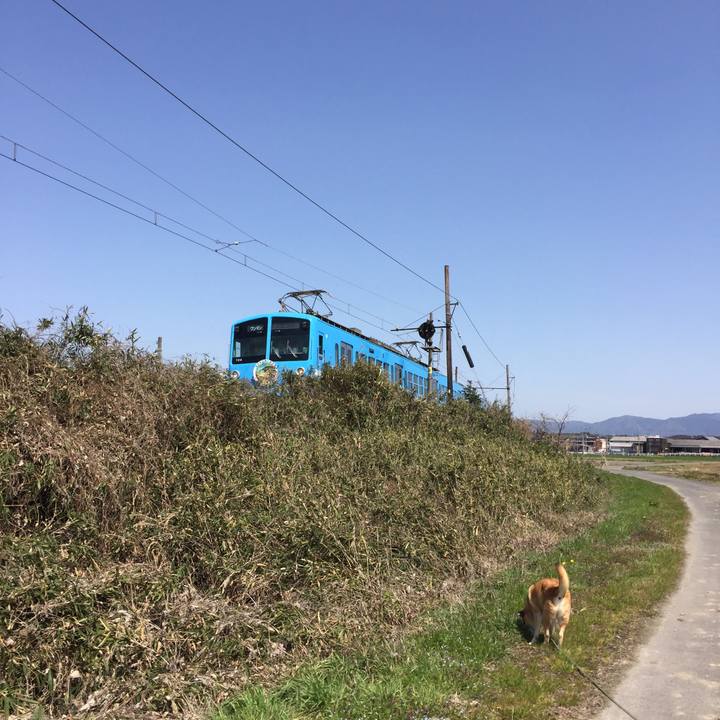 0cadc852 8bca 439c bb86 59bfb2f79272 1584785003281