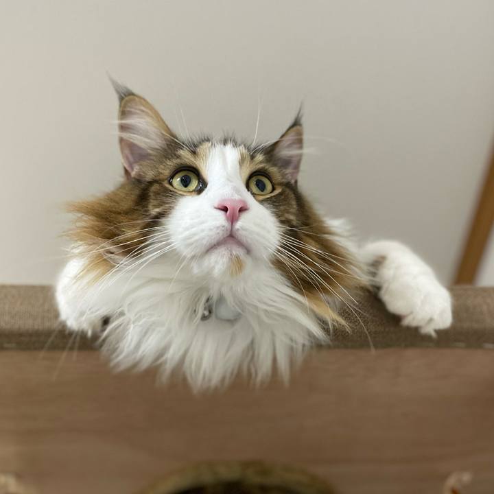 0cadd903 ac07 467b 99a3 6a591be13f9e 1668808127920