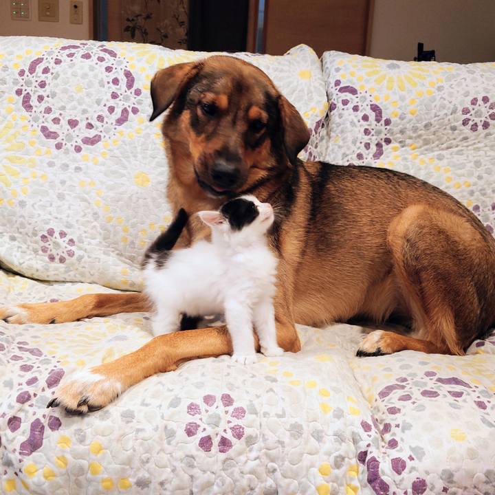 0cadfa6b c9d1 4234 b486 ed36683f306f 1757851807409