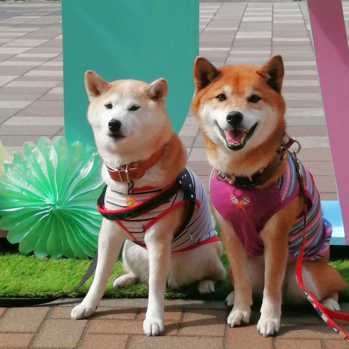 0cae18fb 909c 48da 8cdd 042fe8620409 1647223770372