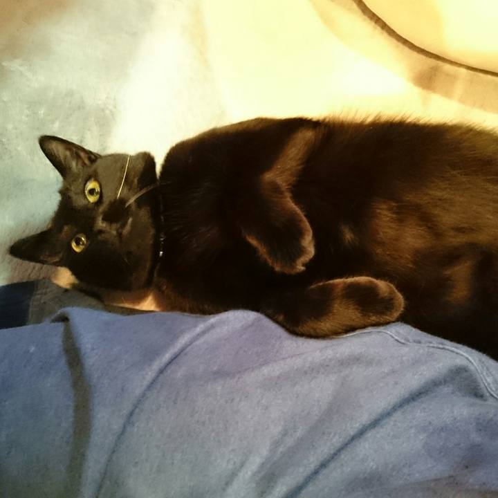 0cae50f3 4304 457a 8b58 d54c3294087f 1515596518008