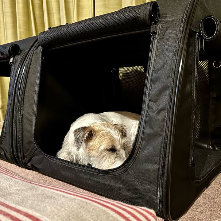 0cae67b1 77e4 4e9b 8ef9 b61282bfdd98 1700651588208