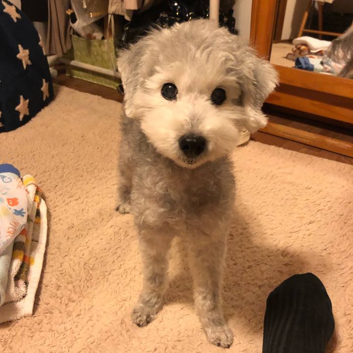 0cae6bc2 3b1f 4c7b b0a6 064be2c64593 1605568376694