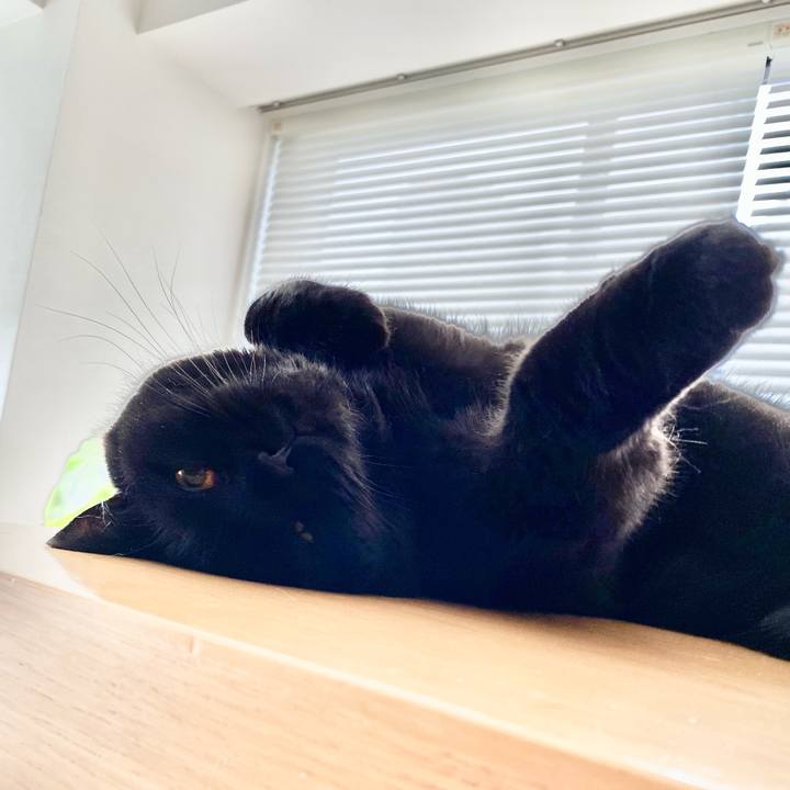 0cae7816 bcf9 4407 a199 b5cf77d6abfd 1687500745852