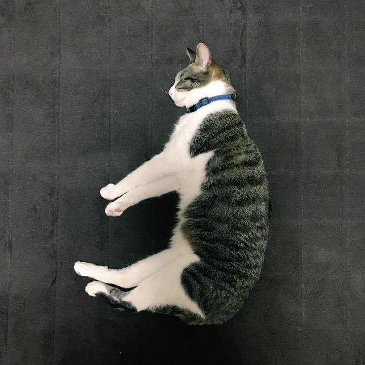 0cae7f2f 2f38 439b bba1 3dcd7a2106c9 1524364637386