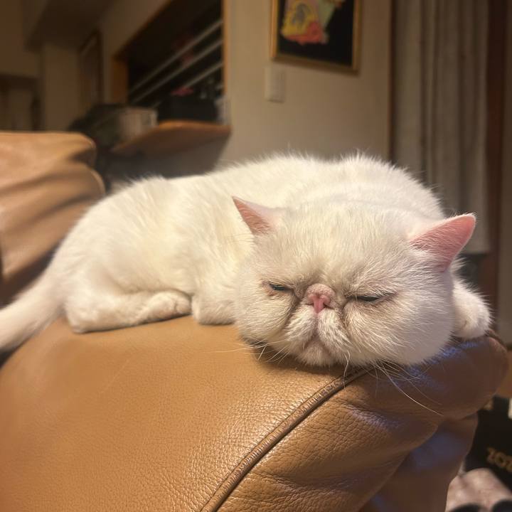 0caea9eb 866e 49be 963c 960b78e53f0a 1749986996346